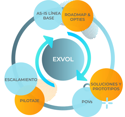 EXVOL EXVOL