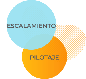 EXVOL