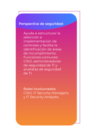 Perspectiva de seguridad